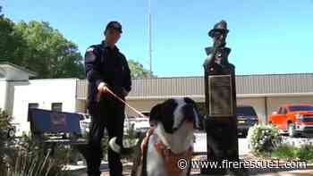 Firefighter adopts dog he rescued during Hurricane Helene
