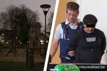 Hij sprong uit de struiken en duwde studente (21) van haar fiets: verkrachter (53) kreeg zwaarst mogelijke straf, maar vecht die aan