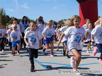 Anthony Wayne voters to pay more whether levy passes or fails