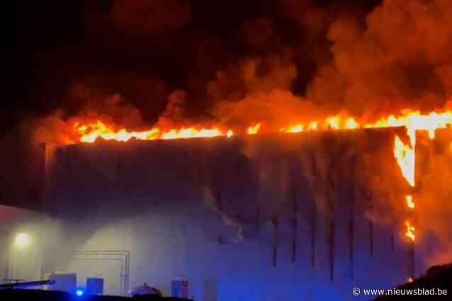Uitslaande brand in eierbedrijf op industrieterrein Tongeren-Oost