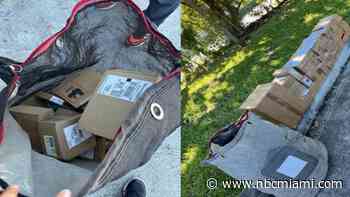 UPS employee allegedly stole $67,000 worth of iPhones and other electronics: BSO