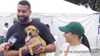 ‘It's going to change your life': 12-hour pet adoption festival gets underway at Tropical Park