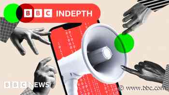 How have social media algorithms changed the way we interact?