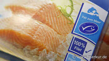 Guten Fisch kaufen – drei Tiefkühl-Produkte triumphieren