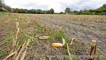 Stadt Augsburg setzt nach Ärger um Realschul-Pläne Sondersitzung an