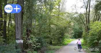 Land plant im Winter neue Baumfällungen am Südschnellweg Hannover