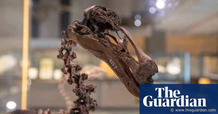 AI gives voice to dead animals in Cambridge exhibition