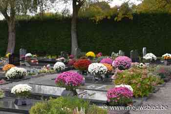 Boutersem experimenteert met gratis chrysantenhouders