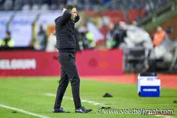 Nadat Belgische fans om ontslag van Domenico Tedesco roepen: "Op een gegeven moment moet de bondscoach zichzelf ook in vraag stellen"