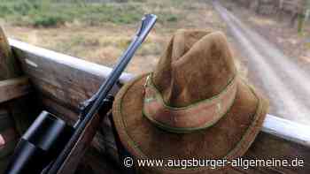 Bayern schießt so viel Wild wie nie – wegen des Klimawandels