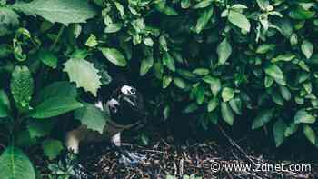 How to create and manage hidden files in Linux