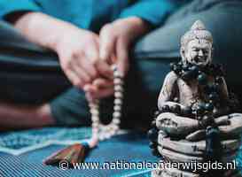 Studenten hebben geen seks in meditatieruimtes Leiden en Delft