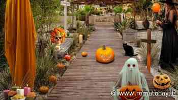 Mexican Halloween Village
