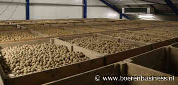 Verlagingspercentage pootgoed verrassend hoog