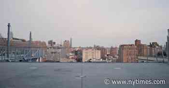 Alvin Ailey’s Silky Creatures of the Night