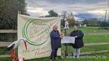 „Naturschutz, der lebendig wird“ – Caritas-KiTa baut Storchennest in Kolbermoor