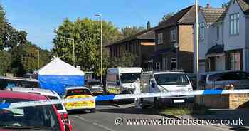 Five arrested after 30-year-old killed in shooting