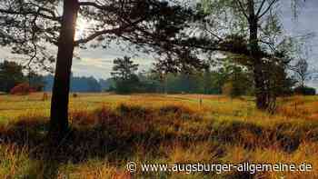 Sechs Tipps für schöne Herbst-Spaziergänge im Augsburger Land