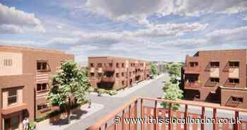 'New blocks of flats two metres from my home will take away sunlight'