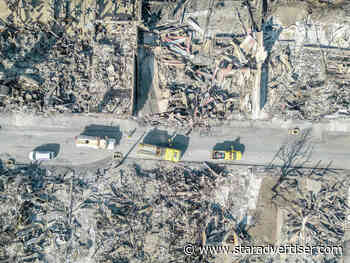 PUC probing utility’s role in deadly Maui fire