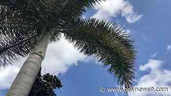 Warm Tuesday ahead of a cold front