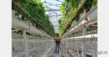 "De overgang naar doordragers heeft de druk wat van de markt gehaald"