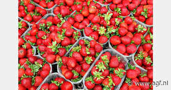 Marokkaanse groente- en fruitexport naar EU volgt groeipad van 5%