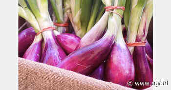 Indonesië versterkt aanwezigheid op wereldvoedselmarkt met sjalotten