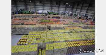 Egyptische citrusexport voor het eerst meer dan 2 miljoen ton