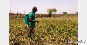 Webinar tuinbouwsector Senegal