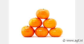 Turkije stelt exportdata vast voor mandarijnen