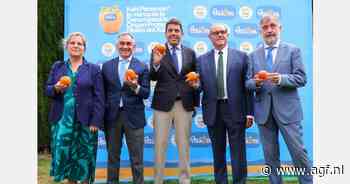 Rebranding voor de Ribera del Xúquer kaki