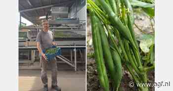 "Supermarkten schakelen later over op Duitse sperziebonen"