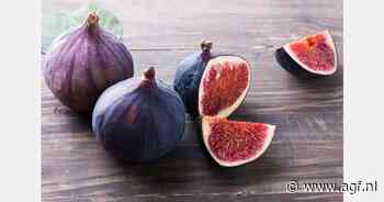 RASFF: Ochtratoxine in biologische vijgen uit Turkije