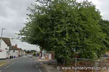 Property developer fined for cutting down protected tree