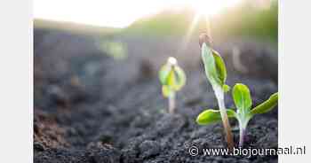 Leer hoe je de bodem-gewasrelatie centraal zet in je bedrijfsvoering