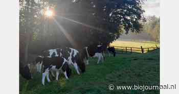 Nieuwe campagne wil 1001 hectare bomen planten bij boeren