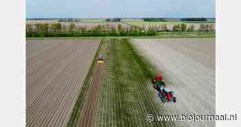 Verplaatsbare, plantaardige bodemverbeteraars