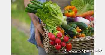 Initiatiefnemers burgerboerderij Flevopolder in 'Onze boerderij - als alles verandert' op NPO 1