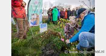 Voedselbossen starten grote crowdfundingactie voor meer bomen.