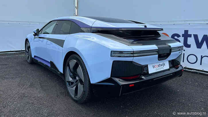 Er wordt een partij bizarre Chinezen geveild in Nederland