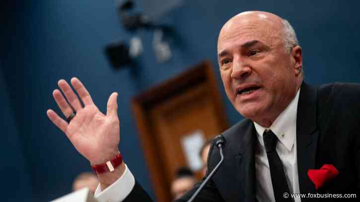Kevin O'Leary endorses Elon Musk to lead government efficiency commission: 'Release the hounds'