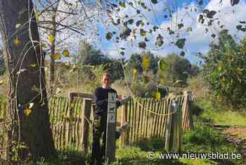 Wandelaars krijgen nieuwe toegang tot de Houtsaegerduinen vanuit Koksijde