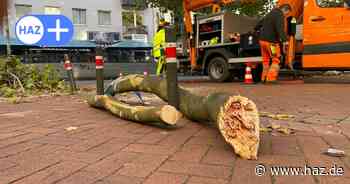 Lister Meile in Hannover: Dicker Ast fällt in die Fußgängerzone