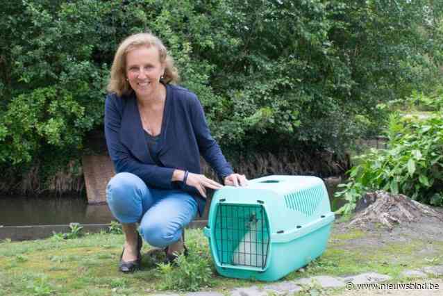 Schepen Katleen Vantyghem is niet meer verkozen: “Ik heb me deels weggecijferd, maar dit was nu ook niet de bedoeling”