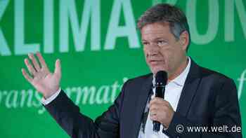 Habecks nächstes umstrittenes Subventions-Paket