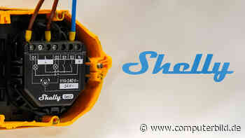 Shelly kündigt zähneknirschend Matter-Support für viele Produkte an