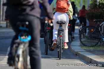 CDU will Rad-Beirat in Löhne streichen und scheitert