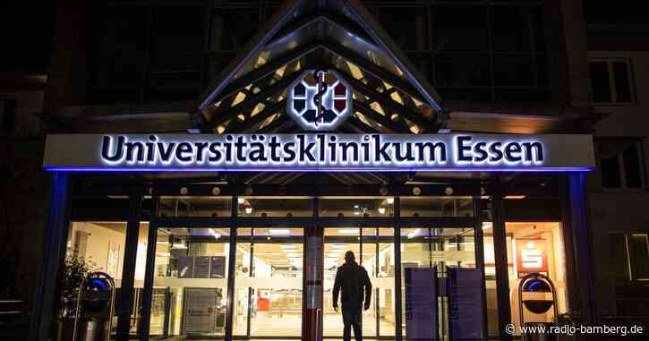 Knollenblätterpilz gegessen: Drei Kinder in Lebensgefahr