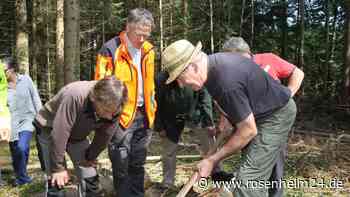 Drohungen, zerkratzte Autos und zerstochene Reifen: Zukunft des Waldes erhitzt die Gemüter